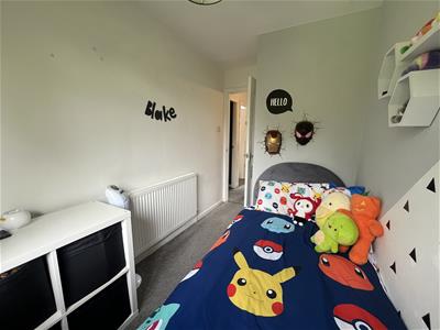 Picture 13